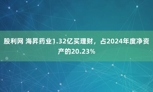 股利网 海昇药业1.32亿买理财，占2024年度净资产的20.23%