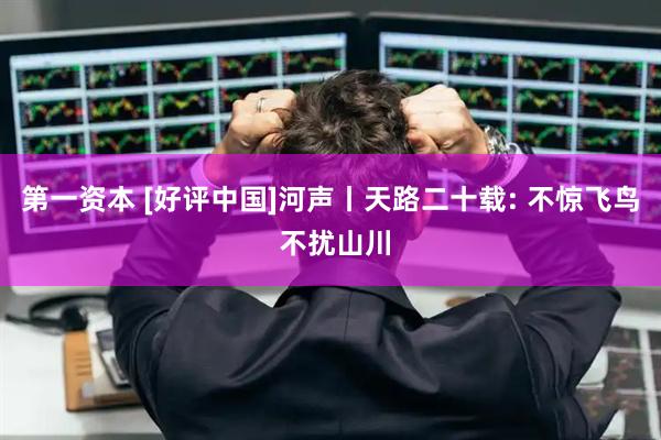 第一资本 [好评中国]河声丨天路二十载: 不惊飞鸟 不扰山川